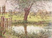 Landscape with a Gate and Watermeadow (mk46), William Bell Scott